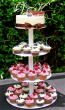 tort muffinkowy z owocami - zdjęcie w ogrodzie